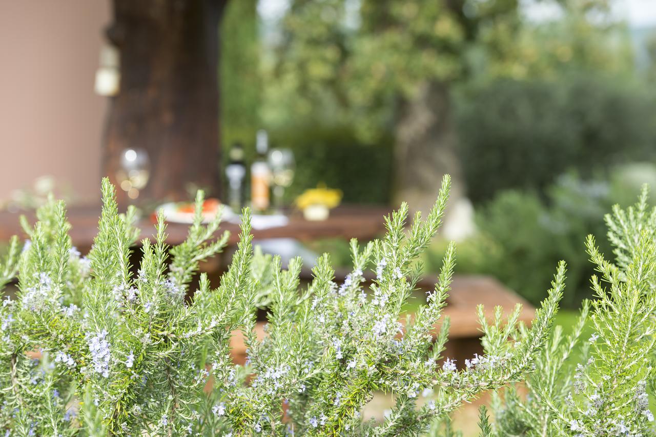 Agriturismo Poggio Corbello La Pesta Екстер'єр фото