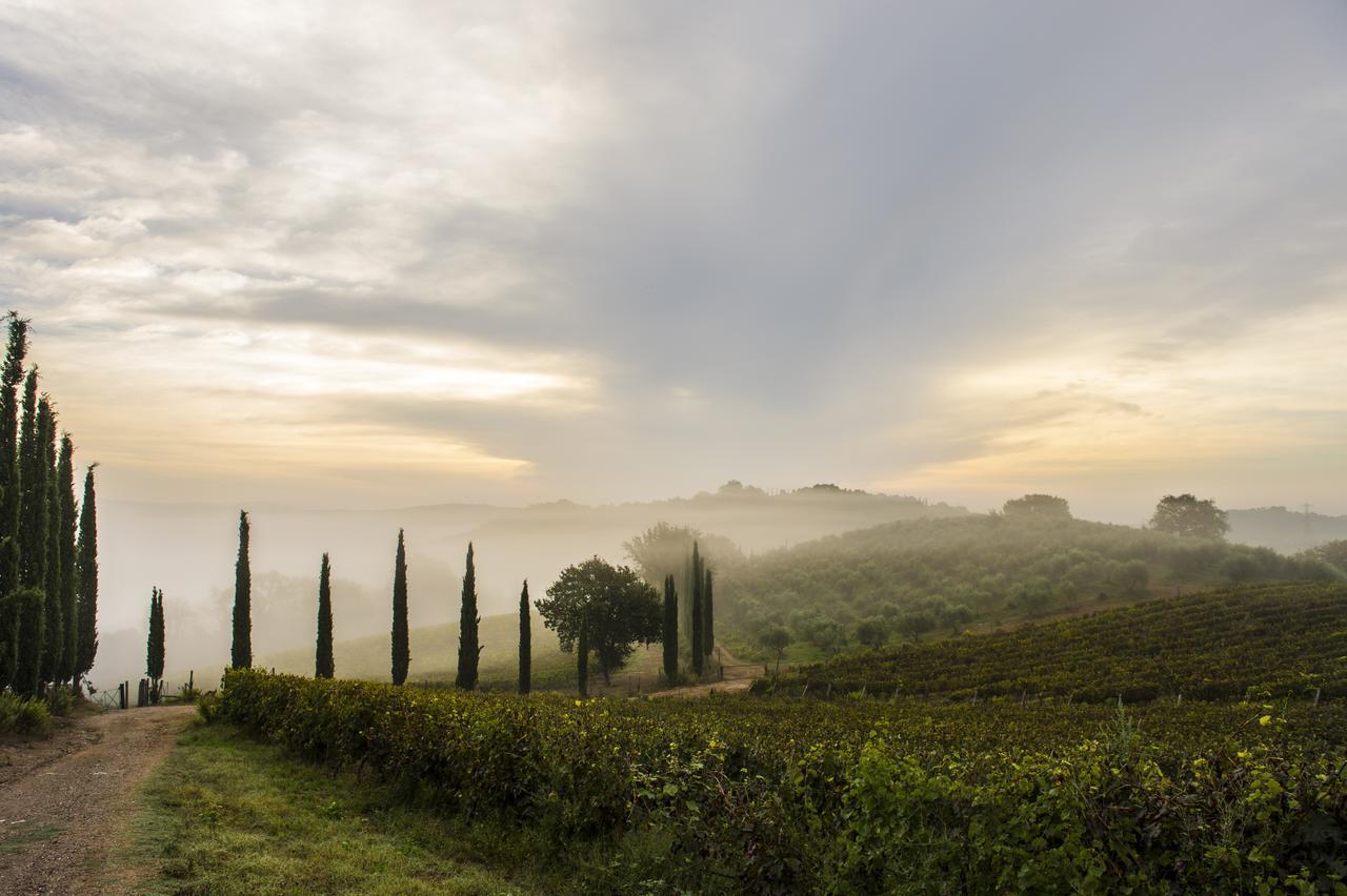 Agriturismo Poggio Corbello La Pesta Екстер'єр фото