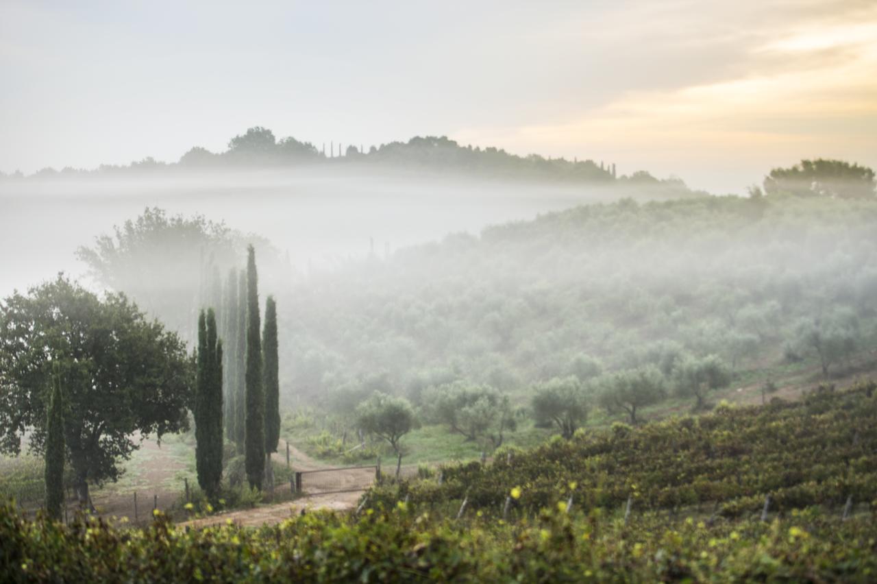 Agriturismo Poggio Corbello La Pesta Екстер'єр фото