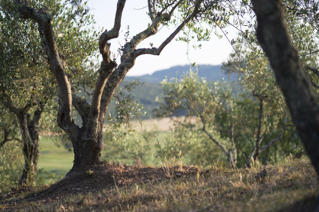 Agriturismo Poggio Corbello La Pesta Екстер'єр фото