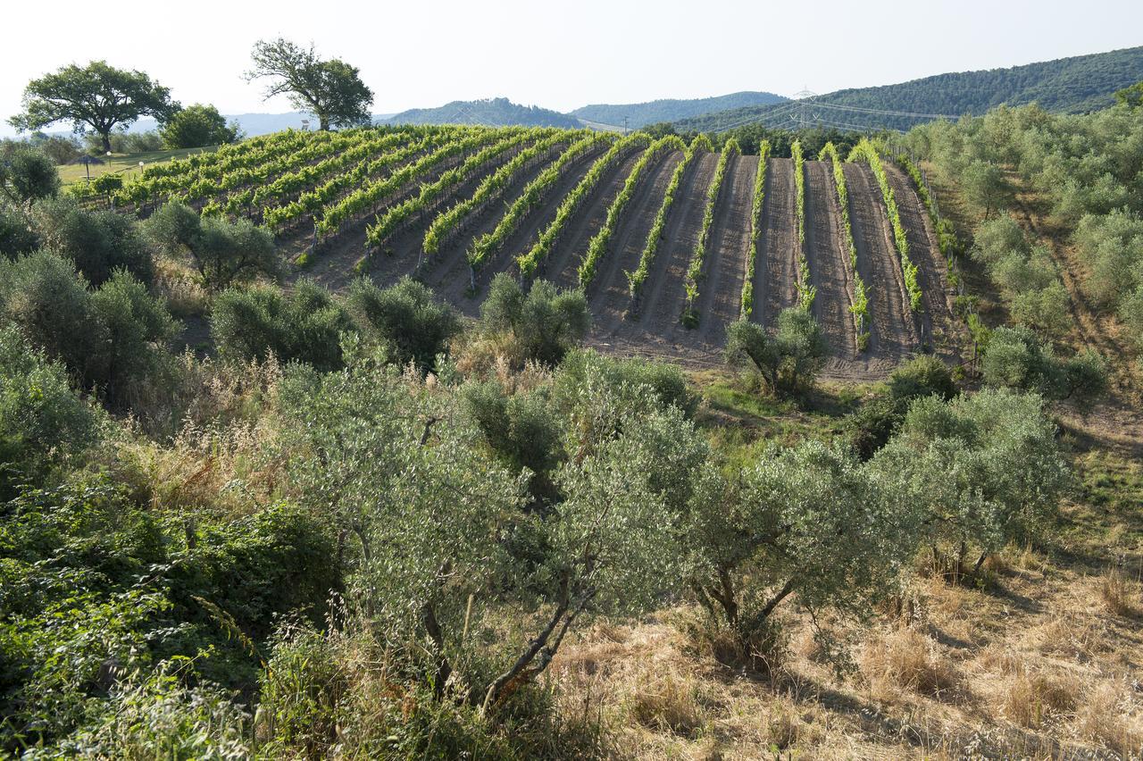 Agriturismo Poggio Corbello La Pesta Екстер'єр фото