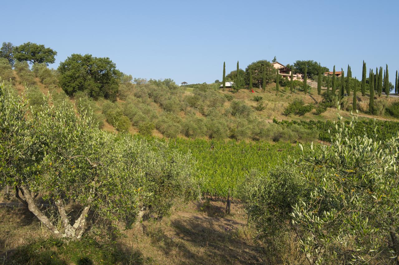 Agriturismo Poggio Corbello La Pesta Екстер'єр фото