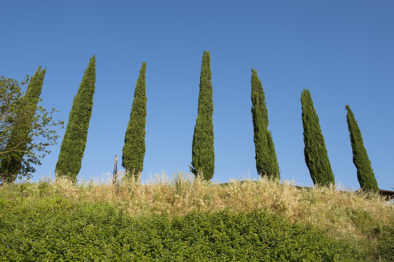 Agriturismo Poggio Corbello La Pesta Екстер'єр фото